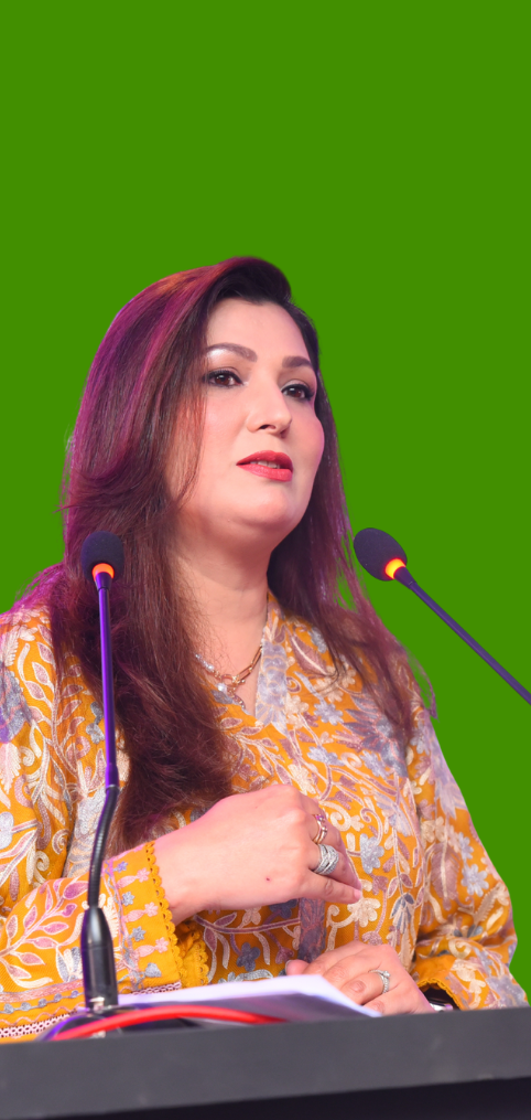 Pakistan tech networking
